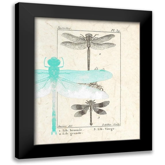 Allen, Kimberly 15x18 Black Modern Framed Museum Art Print Titled - Field Guide 1