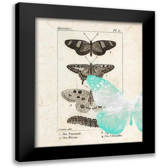 Allen, Kimberly 15x18 Black Modern Framed Museum Art Print Titled - Field Guide 2