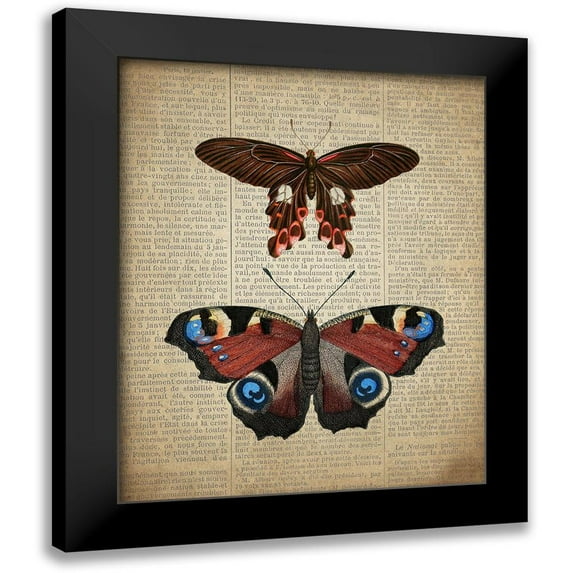 Allen, Kimberly 15x18 Black Modern Framed Museum Art Print Titled - Newspaper Butterfly 2