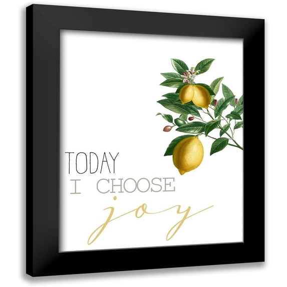 Allen, Kimberly 15x18 Black Modern Framed Museum Art Print Titled - Today I Choose Joy