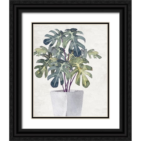 Allen, Kimberly 15x18 Black Ornate Wood Framed with Double Matting Museum Art Print Titled - Plant 1