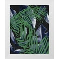 thumbnail image 1 of Allen, Kimberly 15x18 White Modern Wood Framed Museum Art Print Titled - Tropic Palms 2, 1 of 4