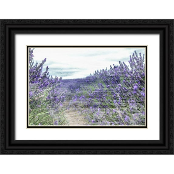 Allen, Kimberly 18x13 Black Ornate Wood Framed with Double Matting Museum Art Print Titled - Lavender Field