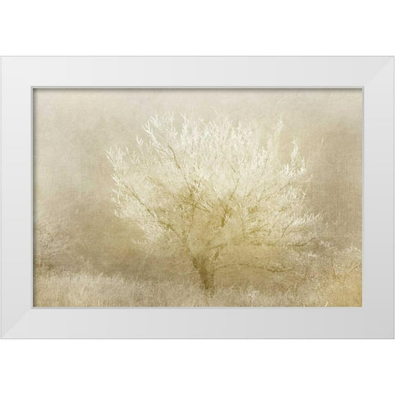 Allen, Kimberly 18x13 White Modern Wood Framed Museum Art Print Titled - Dreaming Tree