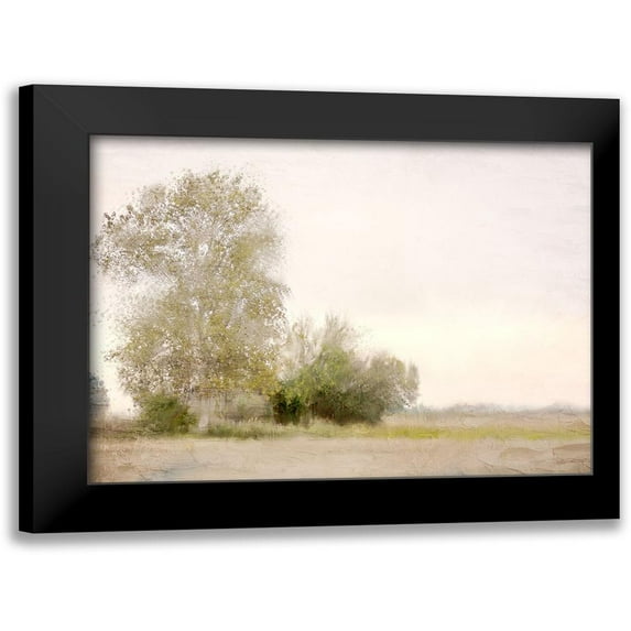 Allen, Kimberly 18x15 Black Modern Framed Museum Art Print Titled - Countryside