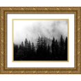 thumbnail image 1 of Allen, Kimberly 18x15 Gold Ornate Wood Framed with Double Matting Museum Art Print Titled - Foggy Morning, 1 of 4