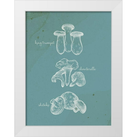 Allen, Kimberly 19x24 White Modern Wood Framed Museum Art Print Titled - Mushroom Type 1
