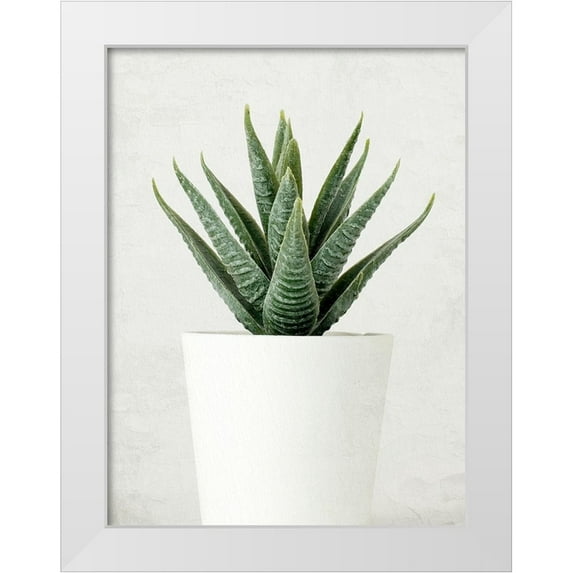 Allen, Kimberly 19x24 White Modern Wood Framed Museum Art Print Titled - Succulent Photo 2