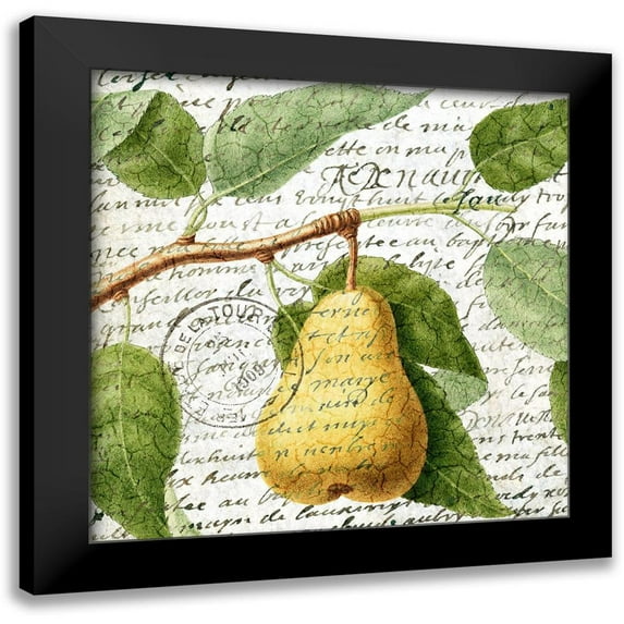 Allen, Kimberly 20x20 Black Modern Framed Museum Art Print Titled - Fruit Picking 2