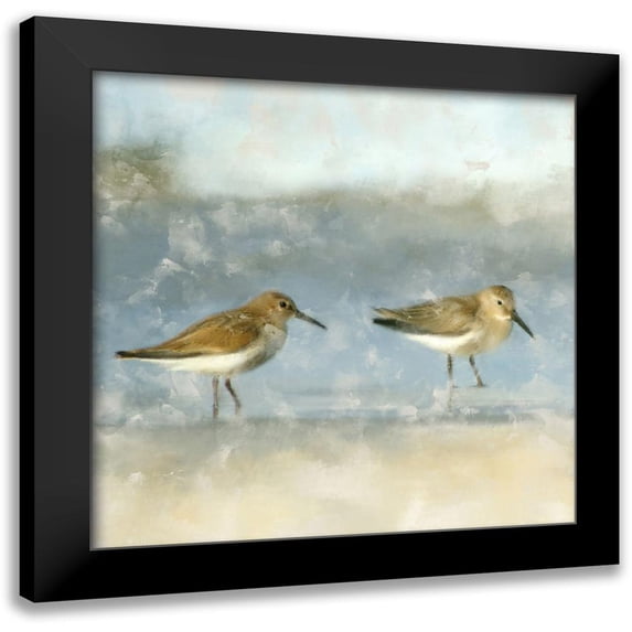 Allen, Kimberly 20x20 Black Modern Framed Museum Art Print Titled - Sandpipers