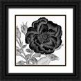 thumbnail image 1 of Allen, Kimberly 20x20 Black Ornate Wood Framed with Double Matting Museum Art Print Titled - Black and White Bloom 1, 1 of 4