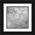thumbnail image 1 of Allen, Kimberly 20x20 Black Ornate Wood Framed with Double Matting Museum Art Print Titled - Snowflake Grey 2, 1 of 4