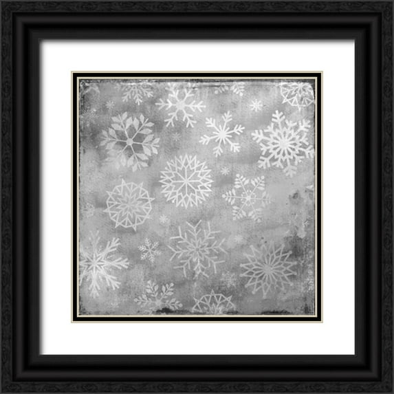 Allen, Kimberly 20x20 Black Ornate Wood Framed with Double Matting Museum Art Print Titled - Snowflake Grey 2