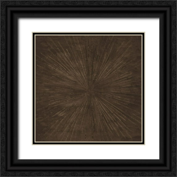 Allen, Kimberly 20x20 Black Ornate Wood Framed with Double Matting Museum Art Print Titled - Sun Light 1 Brown