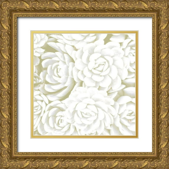 Allen, Kimberly 20x20 Gold Ornate Wood Framed with Double Matting Museum Art Print Titled - Succulent Sage 2