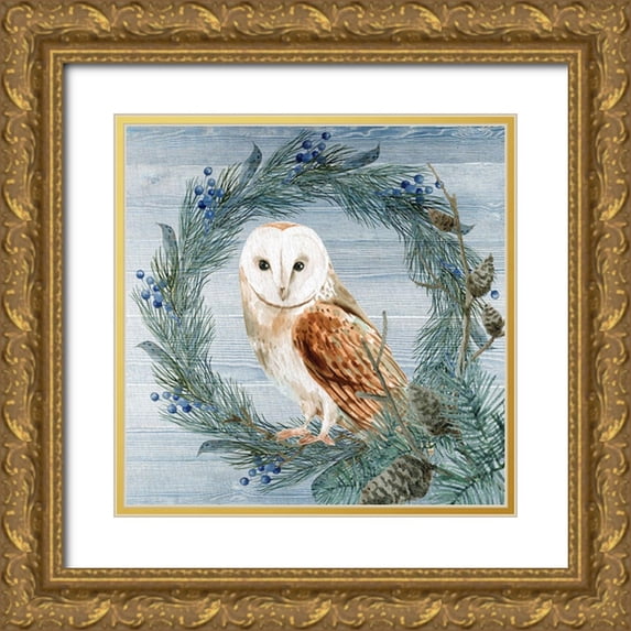 Allen, Kimberly 20x20 Gold Ornate Wood Framed with Double Matting Museum Art Print Titled - Winter Owl Blues 1