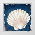 thumbnail image 1 of Allen, Kimberly 20x20 White Modern Wood Framed Museum Art Print Titled - Coastal Shells 2, 1 of 4