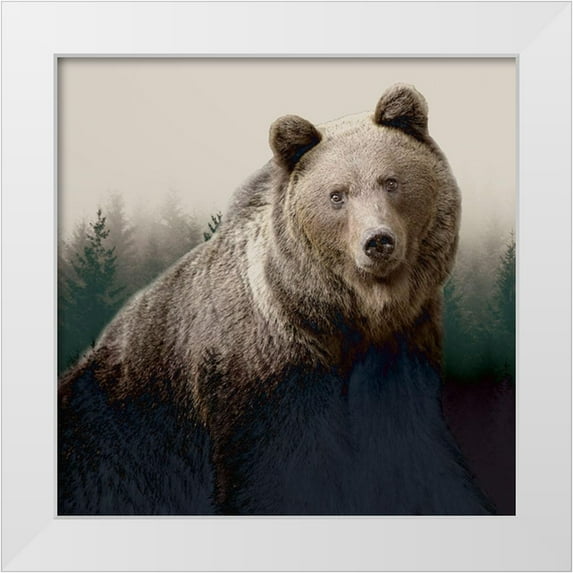 Allen, Kimberly 20x20 White Modern Wood Framed Museum Art Print Titled - Forest Bear