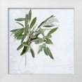 thumbnail image 1 of Allen, Kimberly 20x20 White Modern Wood Framed Museum Art Print Titled - Olive Branches, 1 of 4