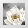 thumbnail image 1 of Allen, Kimberly 20x20 White Modern Wood Framed Museum Art Print Titled - Peony 2, 1 of 4