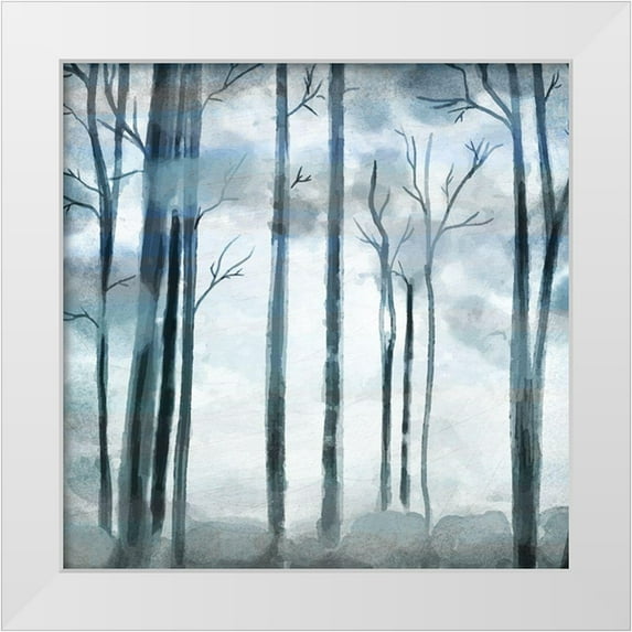 Allen, Kimberly 20x20 White Modern Wood Framed Museum Art Print Titled - Shrouded Forest