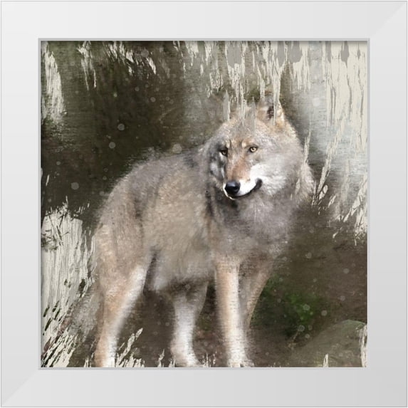 Allen, Kimberly 20x20 White Modern Wood Framed Museum Art Print Titled - Wildlife 3