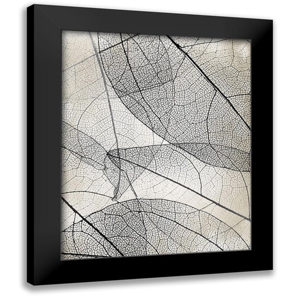 Allen, Kimberly 20x24 Black Modern Framed Museum Art Print Titled - Transparent 2