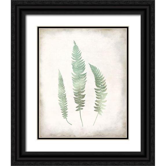 Allen, Kimberly 20x24 Black Ornate Wood Framed with Double Matting Museum Art Print Titled - Watercolor Fern 3 Vintage