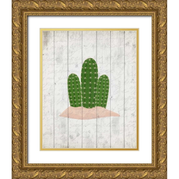 Allen, Kimberly 20x24 Gold Ornate Wood Framed with Double Matting Museum Art Print Titled - Cactus 2