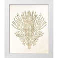 thumbnail image 1 of Allen, Kimberly 20x24 White Modern Wood Framed Museum Art Print Titled - Coral Hue 2, 1 of 4