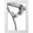 thumbnail image 1 of Allen, Kimberly 23x32 White Modern Wood Framed Museum Art Print Titled - Baby Sloth 1, 1 of 4