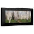 thumbnail image 1 of Allen, Kimberly 24x14 Black Modern Framed Museum Art Print Titled - Path through the Aspens, 1 of 5