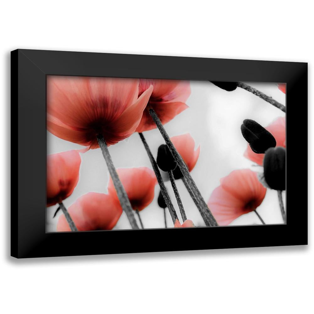 Allen, Kimberly 24x17 Black Modern Framed Museum Art Print Titled - Red ...