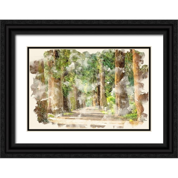 Allen, Kimberly 24x17 Black Ornate Wood Framed with Double Matting Museum Art Print Titled - Tree Avenue