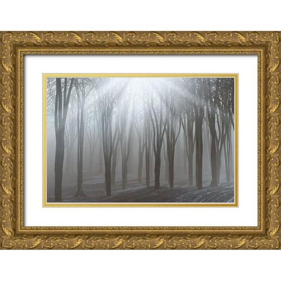 Allen, Kimberly 24x17 Gold Ornate Wood Framed with Double Matting Museum Art Print Titled - Sunlight