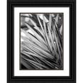 thumbnail image 1 of Allen, Kimberly 25x32 Black Ornate Wood Framed with Double Matting Museum Art Print Titled - Metal BW Plant 2, 1 of 4