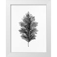 thumbnail image 1 of Allen, Kimberly 25x32 White Modern Wood Framed Museum Art Print Titled - Acanthus Leaf 1, 1 of 4
