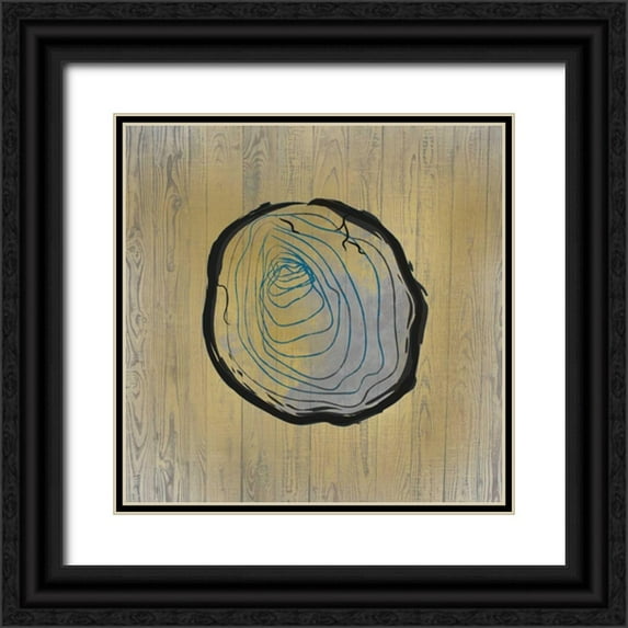 Allen, Kimberly 26x26 Black Ornate Wood Framed with Double Matting Museum Art Print Titled - Country Minerals 2