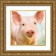 thumbnail image 1 of Allen, Kimberly 26x26 Gold Ornate Wood Framed with Double Matting Museum Art Print Titled - Baby Pig, 1 of 4