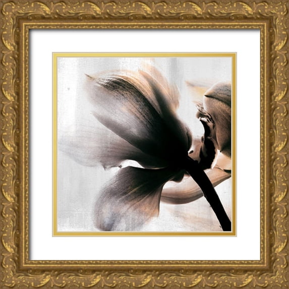 Allen, Kimberly 26x26 Gold Ornate Wood Framed with Double Matting Museum Art Print Titled - Golden Lights 3