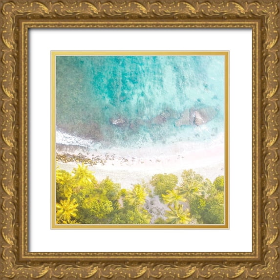 Allen, Kimberly 26x26 Gold Ornate Wood Framed with Double Matting Museum Art Print Titled - Tropic Aerial 2