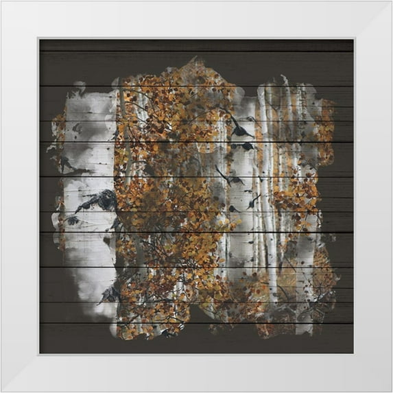 Allen, Kimberly 26x26 White Modern Wood Framed Museum Art Print Titled - Aspen Wood 2