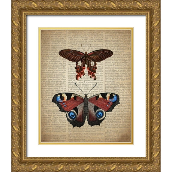 Allen, Kimberly 26x32 Gold Ornate Wood Framed with Double Matting Museum Art Print Titled - Newspaper Butterfly 2