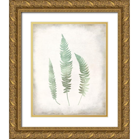 Allen, Kimberly 26x32 Gold Ornate Wood Framed with Double Matting Museum Art Print Titled - Watercolor Fern 3 Vintage