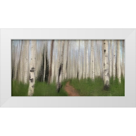 Allen, Kimberly 32x18 White Modern Wood Framed Museum Art Print Titled - Path through the Aspens