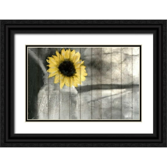 Allen, Kimberly 32x22 Black Ornate Wood Framed with Double Matting Museum Art Print Titled - A Pop Of Yellow
