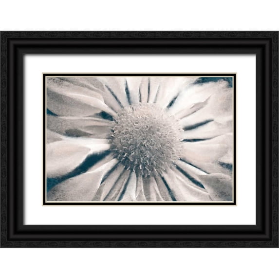 Allen, Kimberly 32x23 Black Ornate Wood Framed with Double Matting Museum Art Print Titled - Marguerite