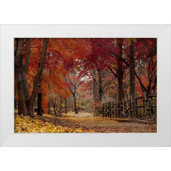 Allen, Kimberly 32x23 White Modern Wood Framed Museum Art Print Titled - Autumn Stroll