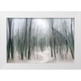 thumbnail image 1 of Allen, Kimberly 32x23 White Modern Wood Framed Museum Art Print Titled - Shrouded Forest 1, 1 of 4