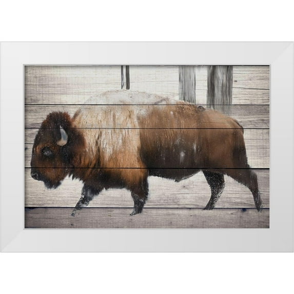 Allen, Kimberly 32x23 White Modern Wood Framed Museum Art Print Titled - Winter Bison